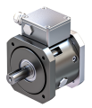 Electric Servomotor Brake